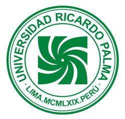 Universidad UNIVERSIDAD RICARDO Ricardo PALMA Palma FACULTAD DE INGENIERÍA ESCUELA ACADÉMICO PROFESIONAL DE INGENIERÍA INFORMATICA DEPARTAMENTO ACADÉMICO DE INGENIERÍA PLAN DE ESTUDIOS 2006-II SÍLABO
