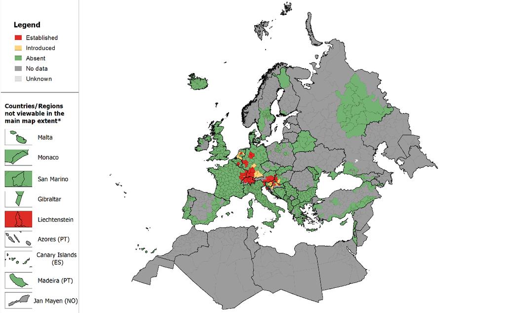 Distribución del vector y papel en la transmisión de enfermedades En Europa, el Ae. japonicus fue detectado por primera vez en el año 2000 en el norte de Francia de donde sin embargo se erradicó.