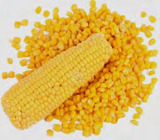 Maíz 2 Maiz Amarillo US N 2 FOB Golfo USA 18 El precio del maíz US.