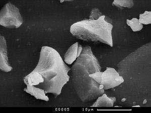 FITOLITOS Son partículas microscópicas minerales de sílice amorfo (ópalo), producidas por las plantas, capaces de persistir en el suelo por miles de años sin sufrir alteraciones.