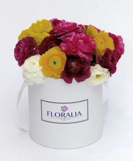 silvestres de estacion Floralia - 103 Cabuchon contiene 24 rosas importadas Floralia 104 Love contiene