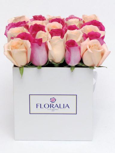 contiene 25 rosas importadas en 5 colores Paris - 103 Tulipanes Caja cuadrada