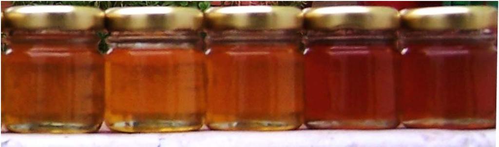 Gran parte de estas mieles son multiflorales de alpataco, tréboles, eucalipto, sauce y tamarisco.