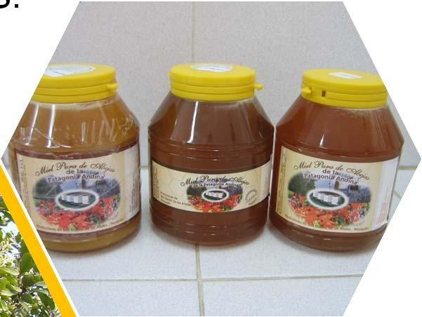 Las mieles provienen de flora nativa, como el radal, el maqui y el chacay; y de especies
