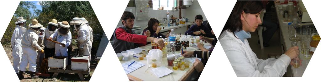 Caracterización de mieles neuquinas Desde el año 2004 se trabaja junto con el Programa Provincial de Desarrollo Apícola del Centro PyME ADENEU en el Proyecto de Caracterización de Mieles Neuquinas.