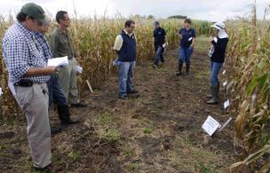 La CGR 1 autorizó a las empresas a evaluar en la Evaluación Nacional de Cultivares al evento transgénico apilado MON89034 x MON88017 que combina tres efectos, el primer componente le confiere al maíz