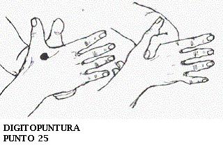 14 PUNTO 25 - Sobre la punta de la pequeña protuberancia que se forma en la unión del pulgar con la mano.