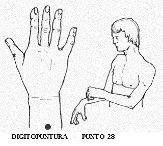 15 PUNTO 28 - En la parte exterior del antebrazo, a tres dedos a partir del doblez de la muñeca en línea recta con el