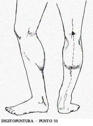 16 PUNTO 31 - En la parte de atrás de la rodilla, en el centro del pliegue que se forma al doblar la pierna.