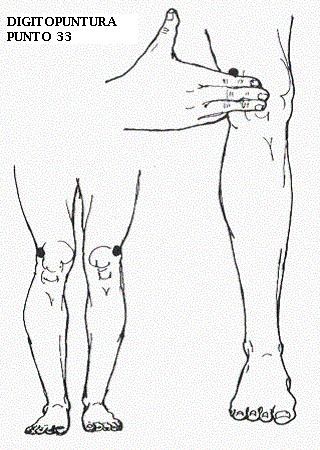 PUNTO 32 - En la parte interior de la pierna bajo el nivel inferior de la rótula en la parte cóncava que está arriba de la pantorrilla y en línea