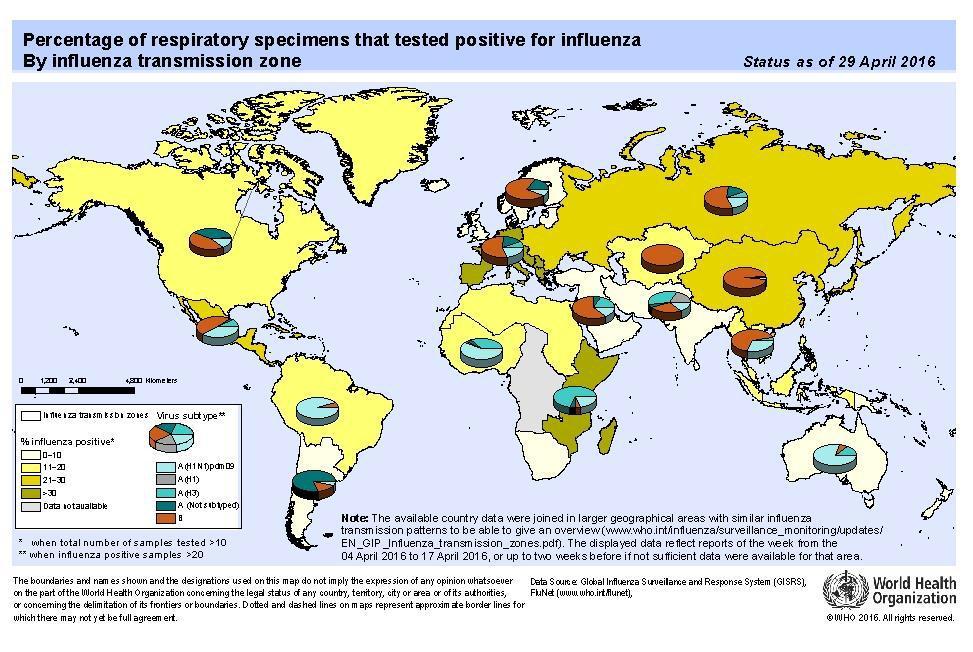 Situación Mundial Hasta Semana Epidemiológica 19 En América del Norte, la actividad gripal siguió disminuyendo con el virus de influenza A ( H1N1 ) e influenza B pdm09 co - circulación.