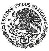 COMITE DE INFORMACION México, Distrito Federal, a trece de abril de dos mil siete. VISTO: Para resolver el expediente No.