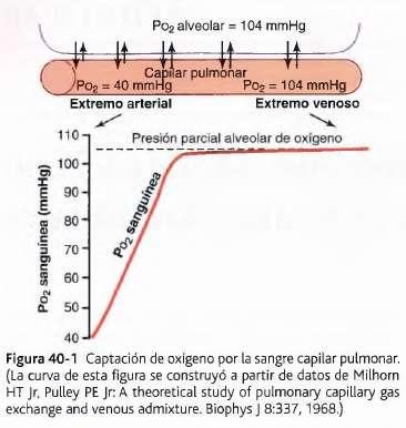 la diferencia inicial de presión que hace que el oxigeno difunda hacia el capilar pulmonar, en la parte