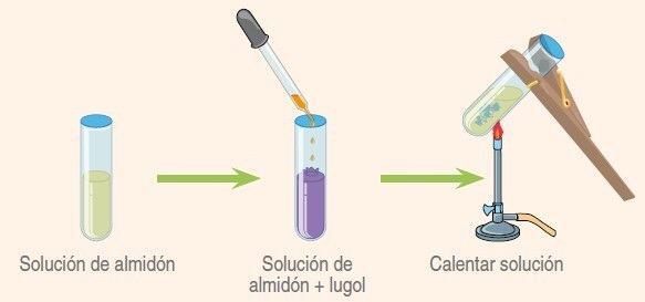 DETERMINACIÓN DE LA ESTRUCTURA HELICOIDAL DE LA AMILOSA Si en un tubo de ensayo se coloca almidón y agua.
