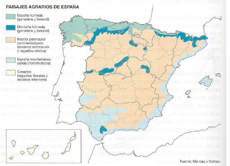 PRÁCTICA Nº 2 El mapa representa la distribución de los diferentes paisajes agrarios de España.