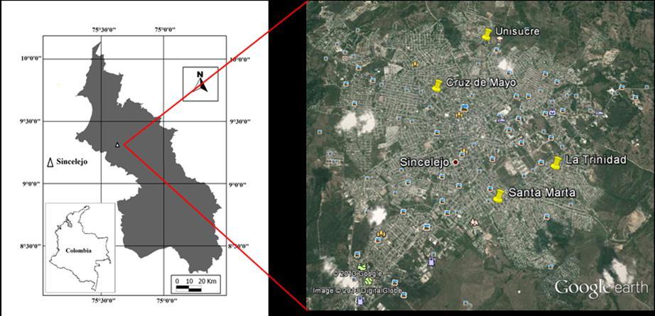 3. METODOLOGÍA 3.1 ÁREA DE ESTUDIO La investigación se realizó en el municipio de Sincelejo, ubicado en el noroeste de Colombia a 9 18'' latitud norte, 75 23'' latitud oeste.