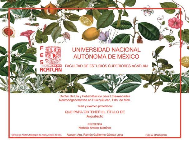 carreras que se imparten en la UNAM; además de las licenciaturas
