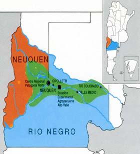 ESTADÍSTICAS DE ARGENTINA 30.000 25.000 20.000 26.798 20.375 Área plantada 15.000 10.000 5.000 Ha 0 1.893 1.