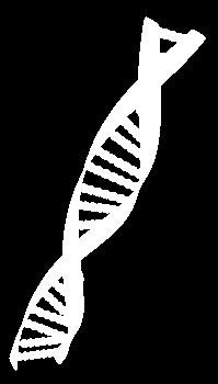 RECURSOS GENETICOS: se entiende el material genético de valor real