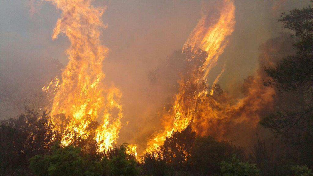 Imagen panorámica del incendio de Maella Helitransportada de Peñalba Fuente: Figura 23.