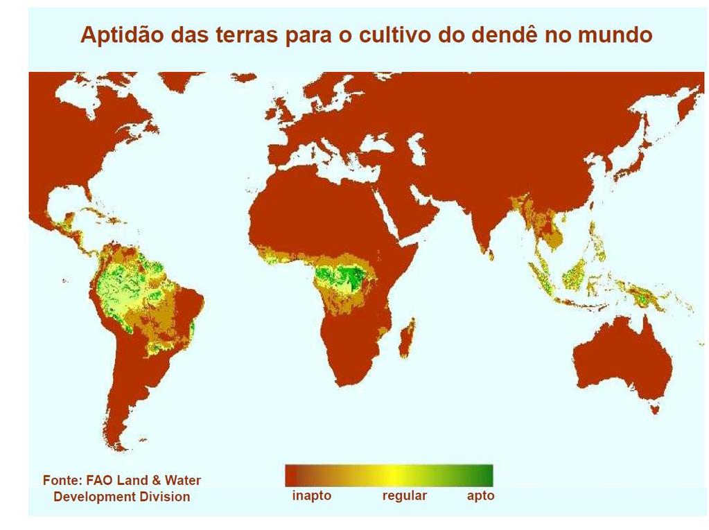 Regiones aptas para el cultivo de la palma aceitera Mapa mundial