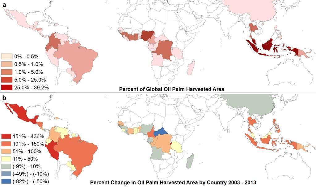Evolución del cultivo de palma en el mundo En la primera imagen se observa la intensidad del área cosechada de