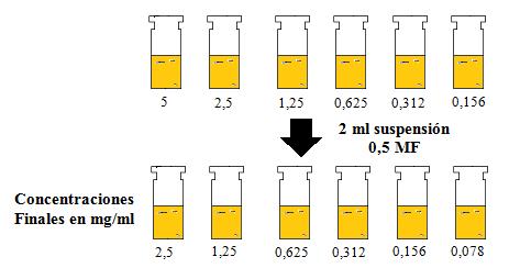 C) SIEMBRA Agregar a todos los tubos (excepto el control negativo) 2 ml de la suspensión del