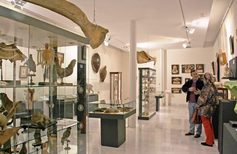 PATRIMONIO CIENTÍFICO-PEDAGÓGICO Y ARTÍSTICO Recientemente se ha inaugurado un museo que ha recogido los valiosos y curiosos objetos de material didáctico relacionados con la educación impartida en