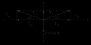un ángulo de 140 con ambas cuerdas, como se ve en la figura. Calcular la fuerza aplicada por cada niño.
