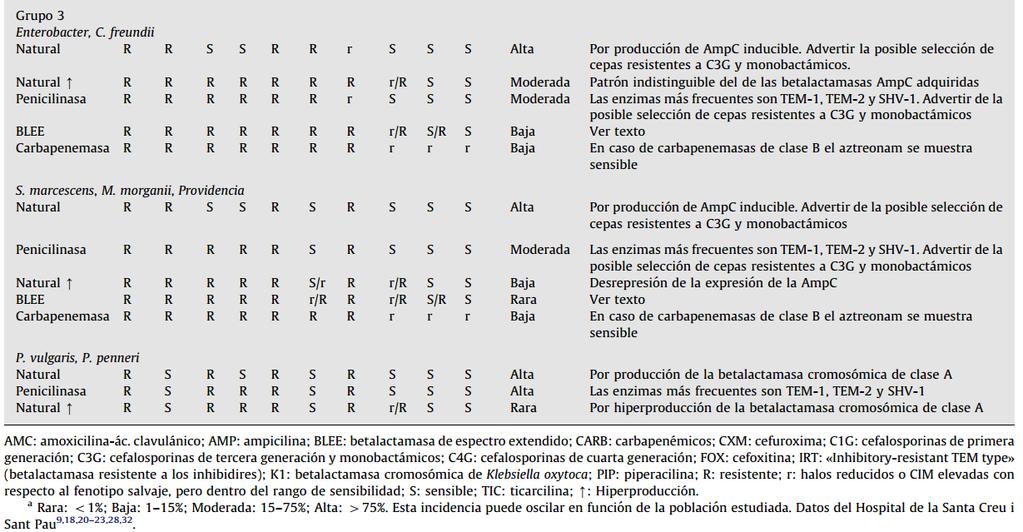 2.2 Pseudomonas aeruginosa Beta-lactámicos. Los fenotipos de resistencia en P.