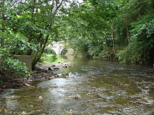 Domina el estrato arbóreo, que presenta buena calidad y el canal es natural. Tramo de río con 100 puntos de QBR. Calidad Muy Buena.