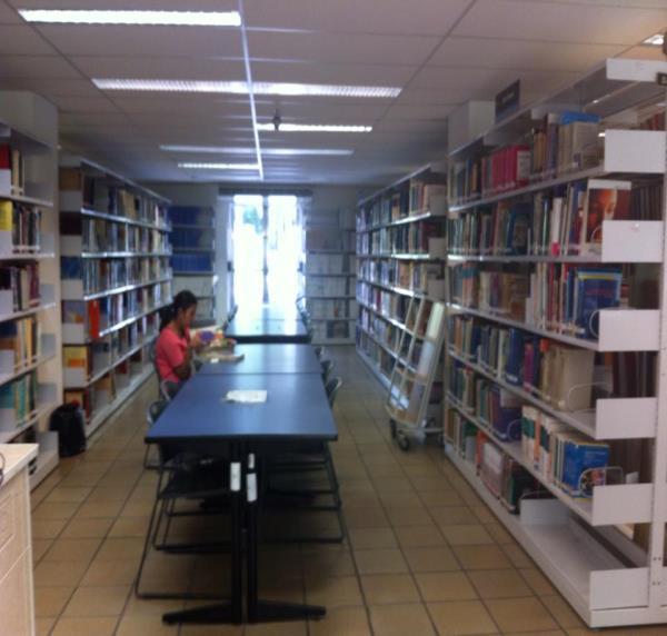 Servicio Bibliotecario Mensualmente se consultan 6800 libros.