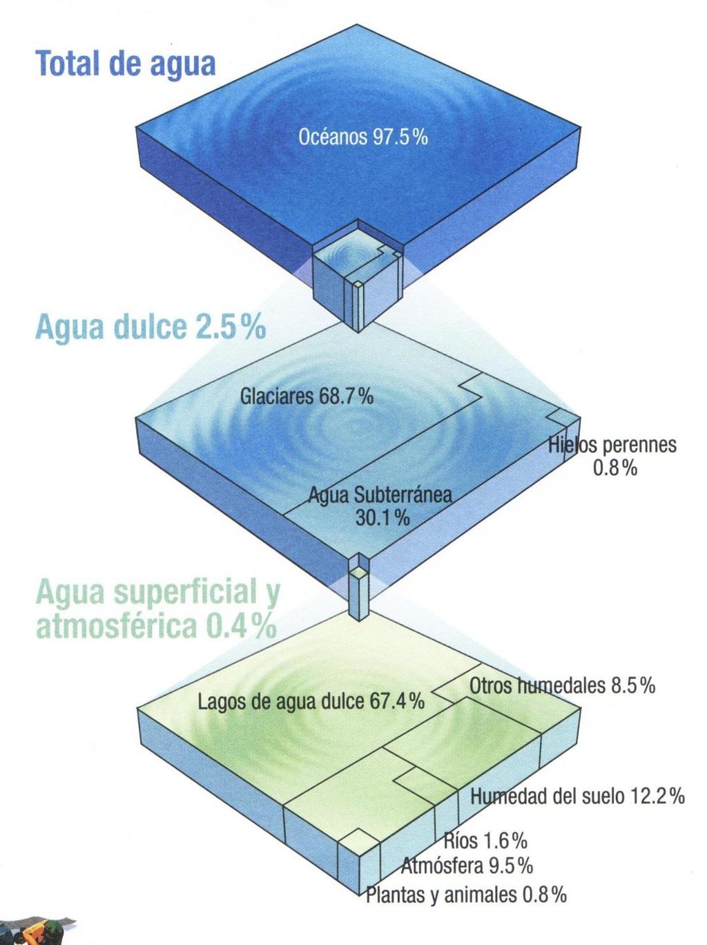DISTRIBUCIÓN DEL AGUA EN EL MUNDO De toda el agua del mundo, solo el 2.5 % es agua dulce, y de ella solo el 0.