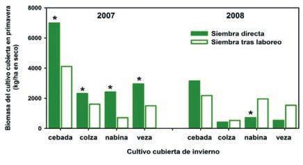 FIG 1. Biomasa producida por los cultivos cubierta antes de la incorporación en el suelo en primavera de 2007 y 2008 para cada sistema de siembra (directa o convencional tras laboreo).