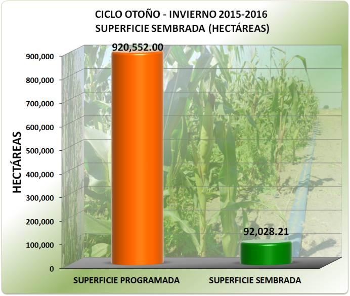Agricultura El ciclo Otoño-Invierno 2015-2016 ha iniciado sus siembras desde el mes de Octubre del año 2015 y podemos destacar algunos cultivos como el sorgo grano alcanzando una producción de 47,717