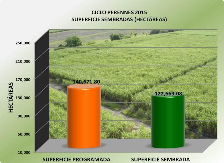 Agricultura Avance de Siembras y Cosechas del Estado Avance Perennes 2015 El ciclo Perennes 2015 ha terminado y el cultivo con mas producción es el de caña de azúcar alcanzando las 2,896,684