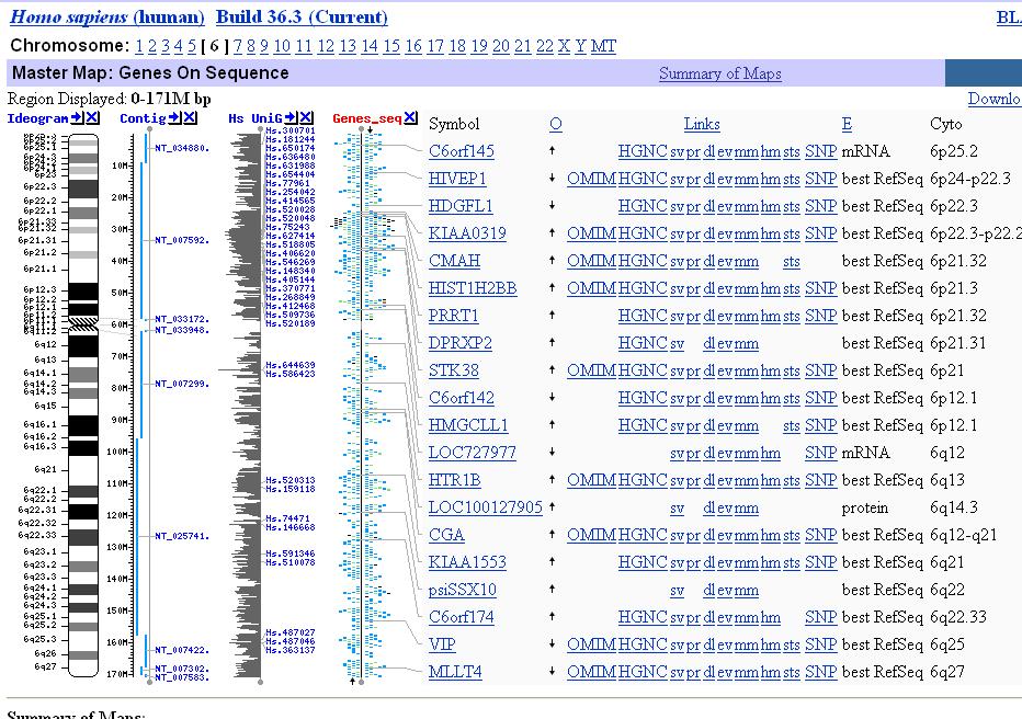 Aplicaciones del genoma Bases de datos del
