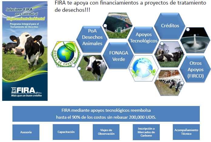 FIRA impulsa el desarrollo de proyectos verdes y alinea apoyos para le