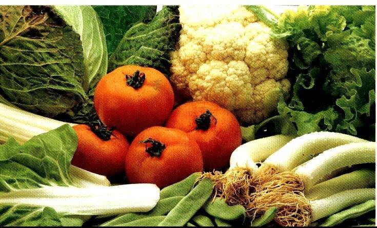 Importaciones de Vegetales Tomates Pimientos Brócoli/Coliflor Cebollas y papas Espárrago