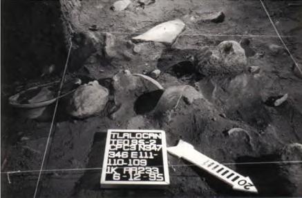 Figura 5. Area de actividad 233, concentración de fragmentos cerámicos y objetos arqueológicos, en la Cámara 3 de la Cueva del Pirul.