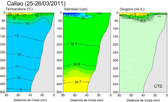 La sección de Callao, mostró una moderada estratificación térmica producto de la aproximación de aguas oceánicas hacia la línea de costa.