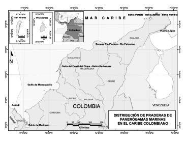Informe del Estado de los Ambientes Marinos y Costeros en Colombia: Año 2001 117 < 10 µg/l Contaminaci ón baja Contaminaci ón media Contaminación alta LITORAL CARIBE EPOCA SECA HIDROCARBUROS