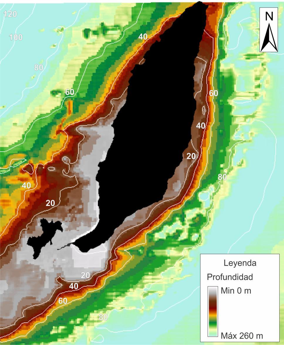 Geomorfología y procesos erosivos en playas de islas rocosas macromareales Figura 6-12 Batimetría de la zona costera aledaña a Gorgona. El costado este presenta mayores pendientes.