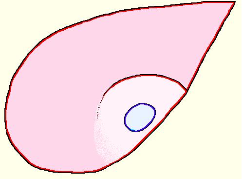 del transductor enfocando la región posterior y superior del hígado por debajo de la Garra.
