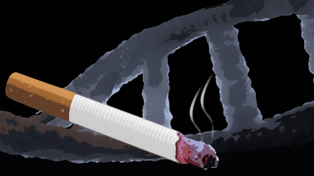 El estudio fue diseñado para determinar si el tabaquismo hace que el sistema genético de las células sea más sensible y vulnerable