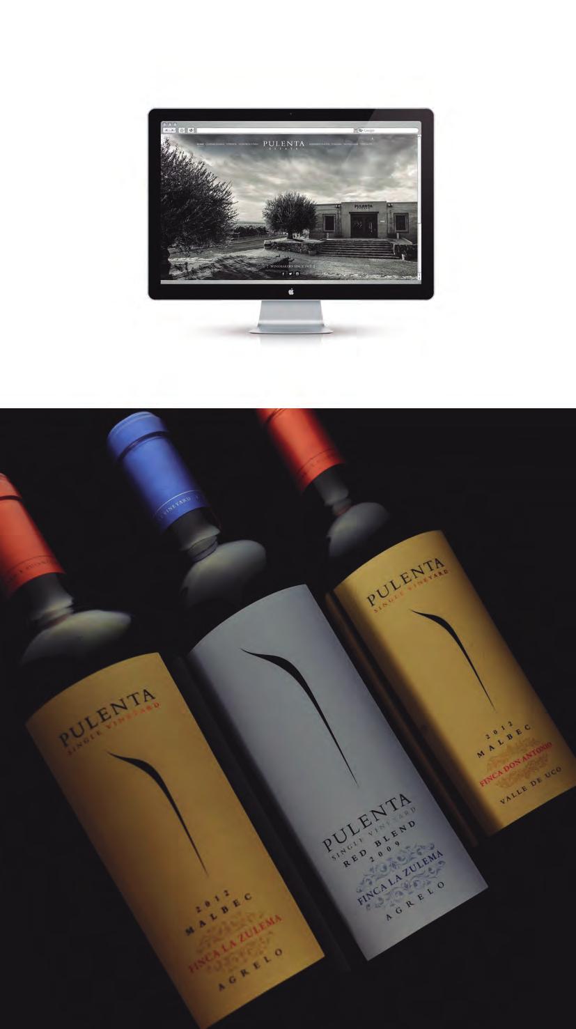 Proyecto / Project >> Website & Packaging Single Vineyard