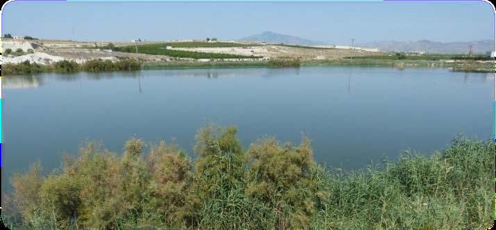 Vista de la laguna habilitada en el complejo de las lagunas de las Moreras Imagen 8.