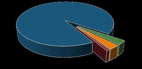 Riviera Nayarit 93% 1% 3% 3% Convenciones Negocio Placer o descanso