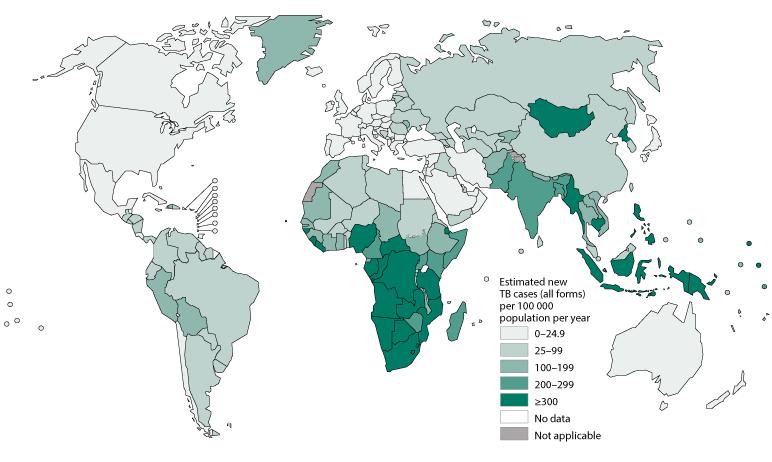 Mapa 1. Tasas de incidencia estimada mundial, según países.