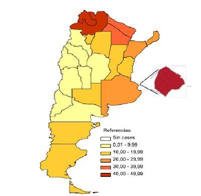 9.1.2 Situación Nacional En Argentina, en el año 2016 se notificaron 10.333 casos, con una tasa de 23,7 casos por 100.000 habitantes.